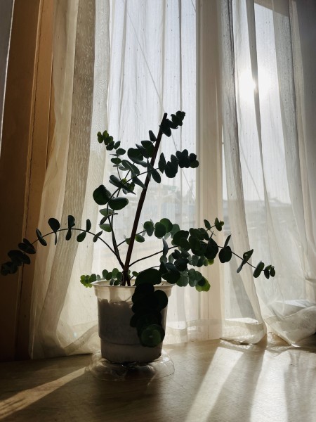 Phòng tách bếp - logia siêu rộng