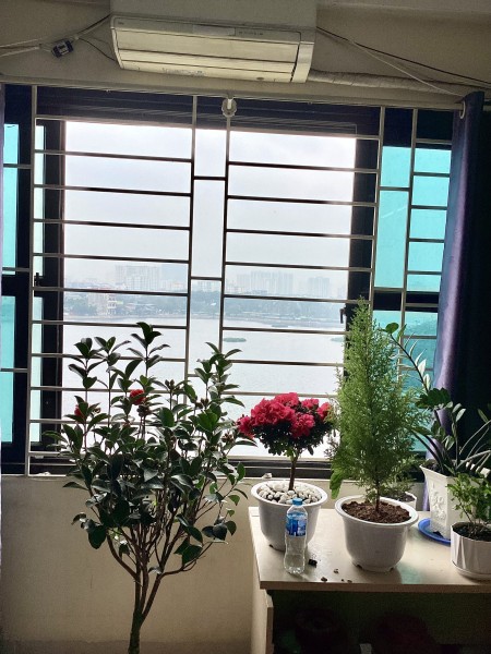 Cho thuê phòng view hồ thoáng mát, đủ đồ