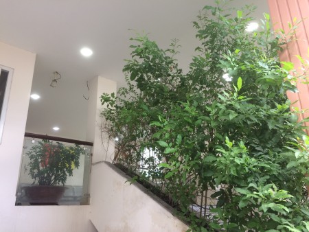 Đi đến slide 13