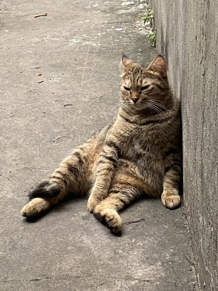 Nguyễn Thị Thanh Huệ