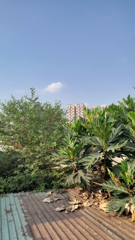 Đi đến slide 9