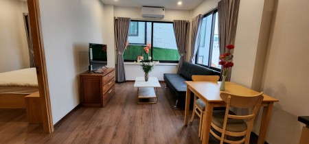 Chính chủ cho thuê căn hộ 1K 1N full đồ tại Tô Ngọc Vân, Tây Hồ