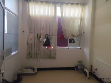 CHÍNH CHỦ CHO THUÊ PHÒNG TRỌ GIÁ RẺ ĐƯỜNG SỐ 17, P. TÂN HƯNG, QUẬN 7