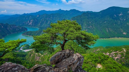Tạ Tú
