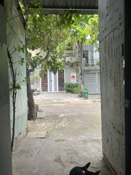 Đi đến slide 5