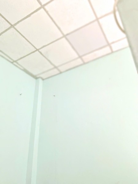 Đi đến slide 9