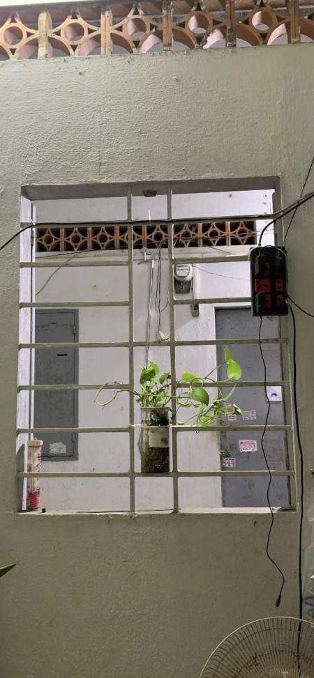 Phòng trọ thoáng mát nhiều cây xanh, yên tĩnh