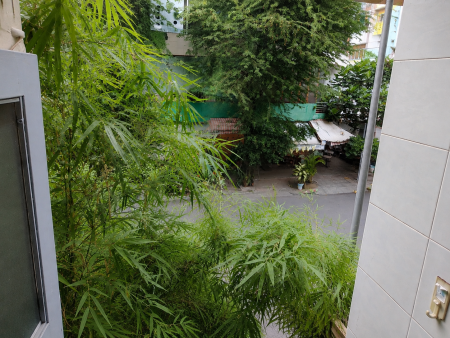 Đi đến slide 2