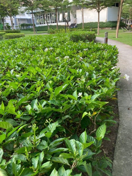 Đi đến slide 17