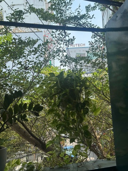 Đi đến slide 8