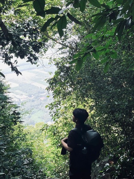 Tường Nhi
