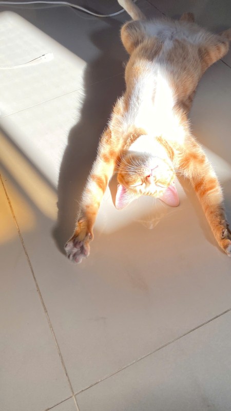 Trương Thị Hoài Trang