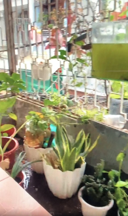 Đi đến slide 9