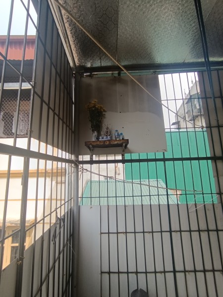 Đi đến slide 11