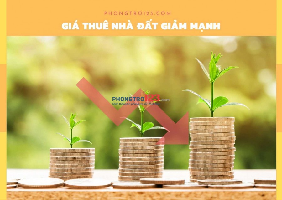 Giá thuê giảm mạnh theo từng đợt dịch bùng phát