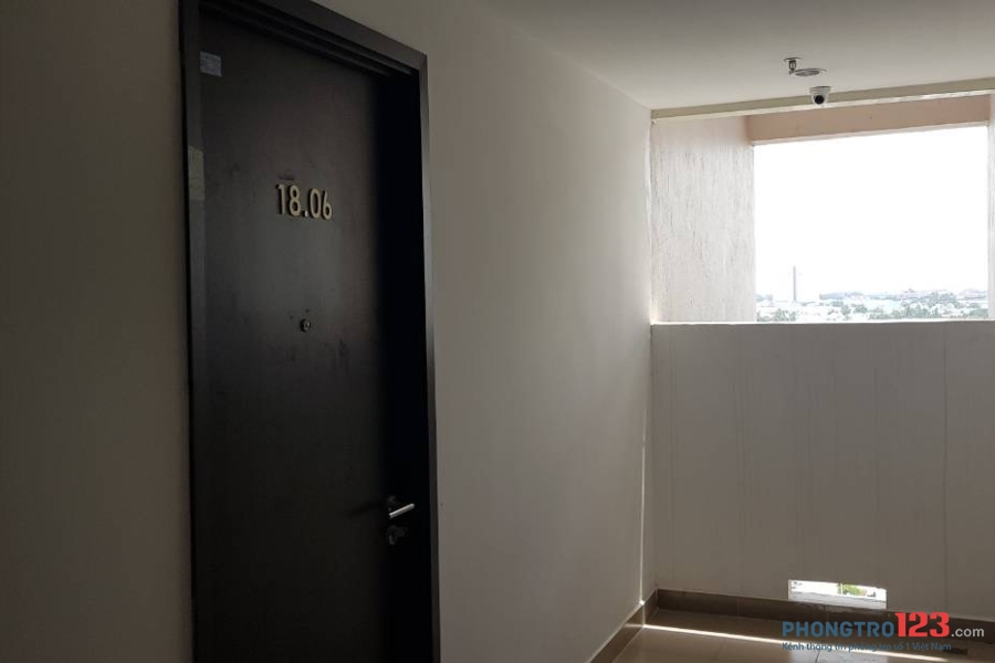 Căn hộ cho thuê 1 phòng (có thể ở 2-3 người) ở chung cư Đạt Gia (Tam Phú)