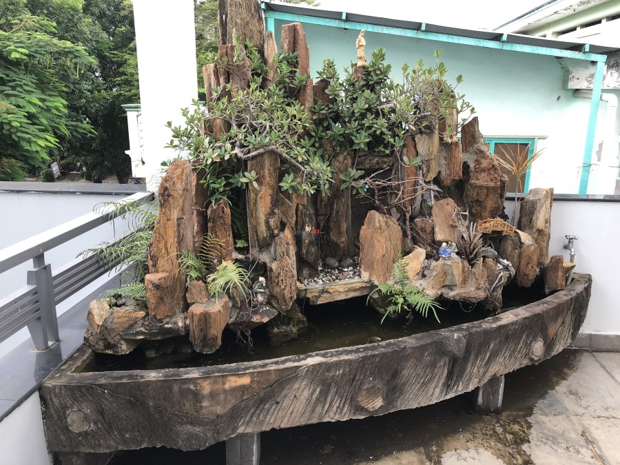 Homestay Biệt Thự gần Lotte Q.7 chỉ 1,6 tr/tháng, miễn phí: điện, nước, wifi, giữ xe, vệ sinh KTX