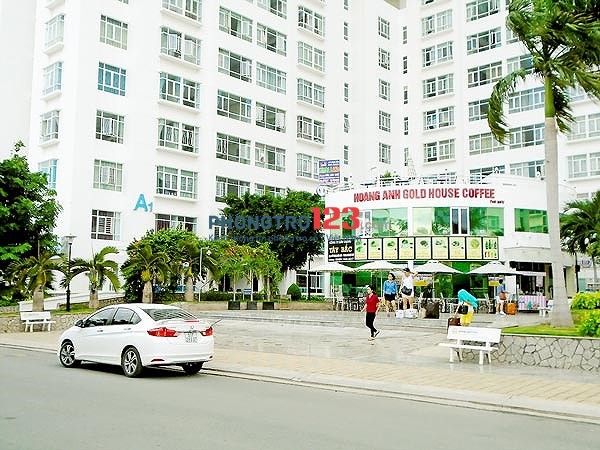 Cho thuê phòng trong căn hộ chung cư gần đại học Tôn Đức Thắng, Quận 7