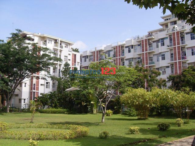 Cho thuê căn hộ đủ nội thất, có gác duplex 100m2 Hương Vượng - Phú Mỹ Hưng, Quận 7