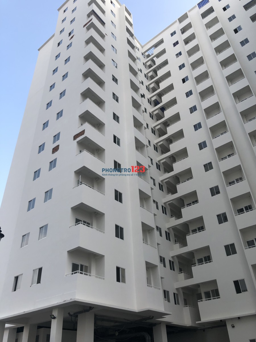 Cho thuê căn hộ 37 mét vuông Bình Tân gần chợ Bà Hom
