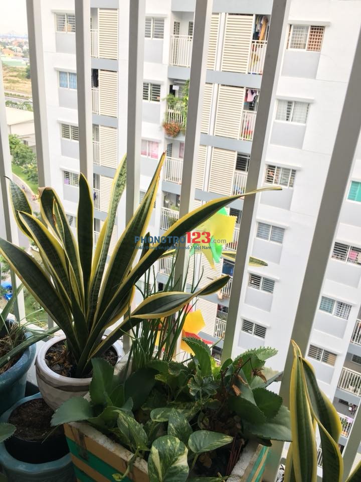 Cho thuê chung cư Ehomes đường Đỗ Xuân Hợp, Quận 9, 75m2, 2PN giá 6 triệu, nhà trống