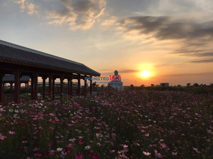 Hoa viên 5 sao Sala Garden Long Thành, Đồng Nai