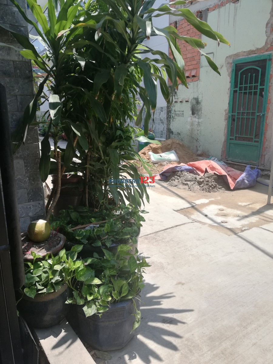 Cho thuê nhà nguyên căn 1trệt 1lầu