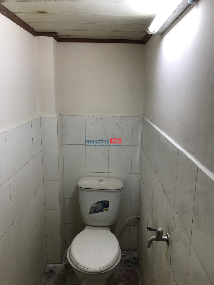 Phòng trọ mới 19m2 Lạc Long Quân, P.10, Q.Tân Bình