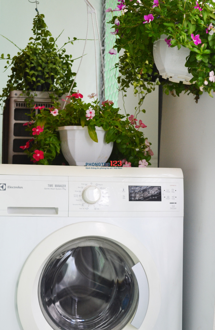 HOSTEL BÙI VIỆN CHO NỮ THUÊ DÀI HẠN