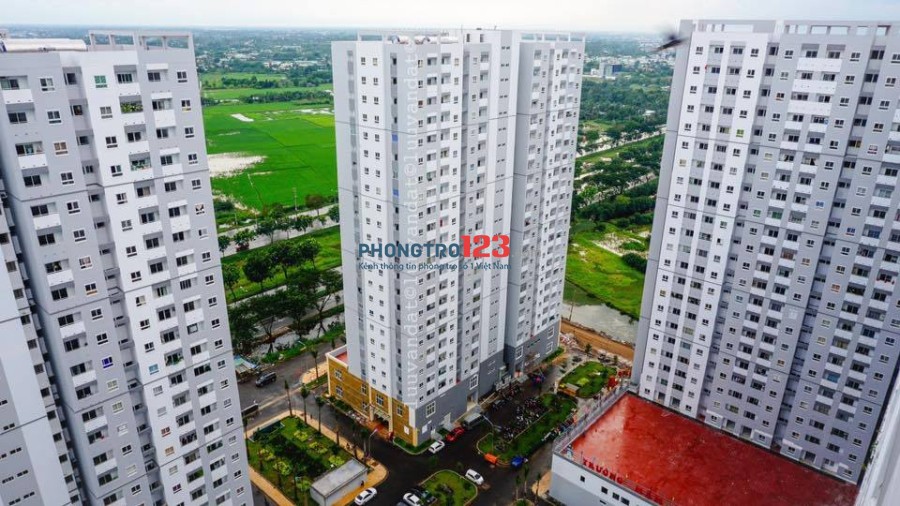 Cần cho thuê căn hộ HQC Plaza giá 3.5 triệu, 2PN -2WC, dọn vào ở liền