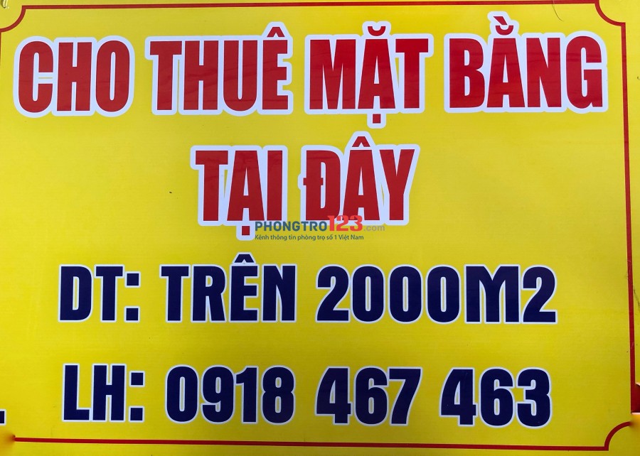 Mặt bằng 2000m2 mặt tiền đương Phạm Ngọc Thạch