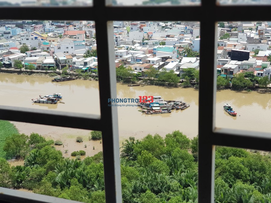 PHÒNG MASTER TRONG CĂN HỘ CHUNG CƯ ERA TOWN view sông 3.6TR / THÁNG