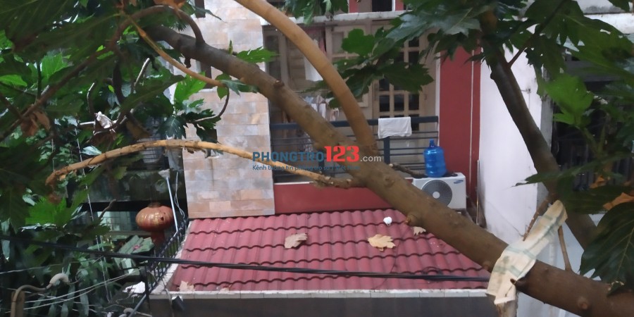 Cần tìm người ở ghép tại CMT8-P6-Tân Bình