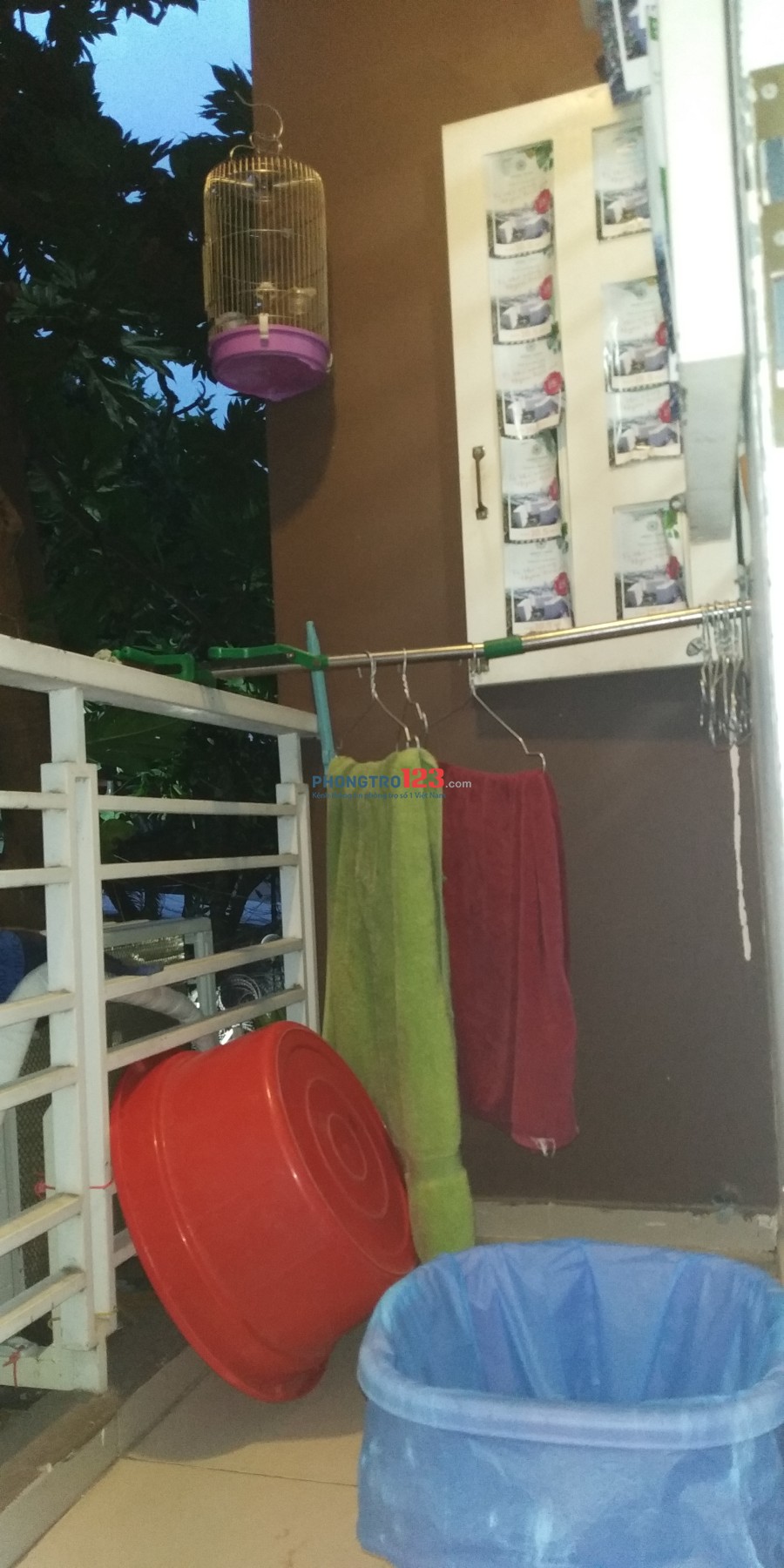 Cần tìm người ở ghép tại CMT8-P6-Tân Bình