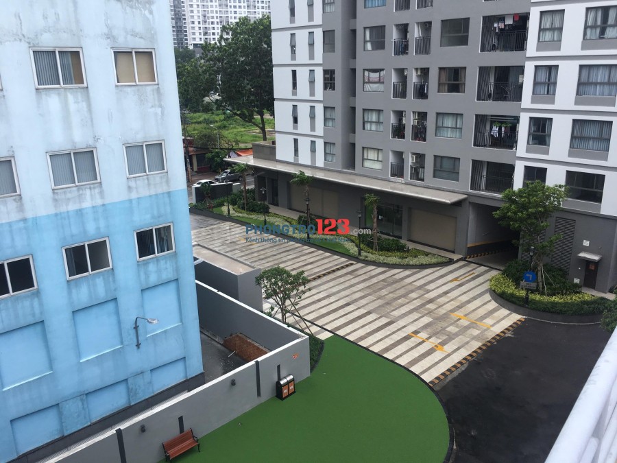 Cho thuê căn hộ đầy đủ tiện nghi tại Tân Bình