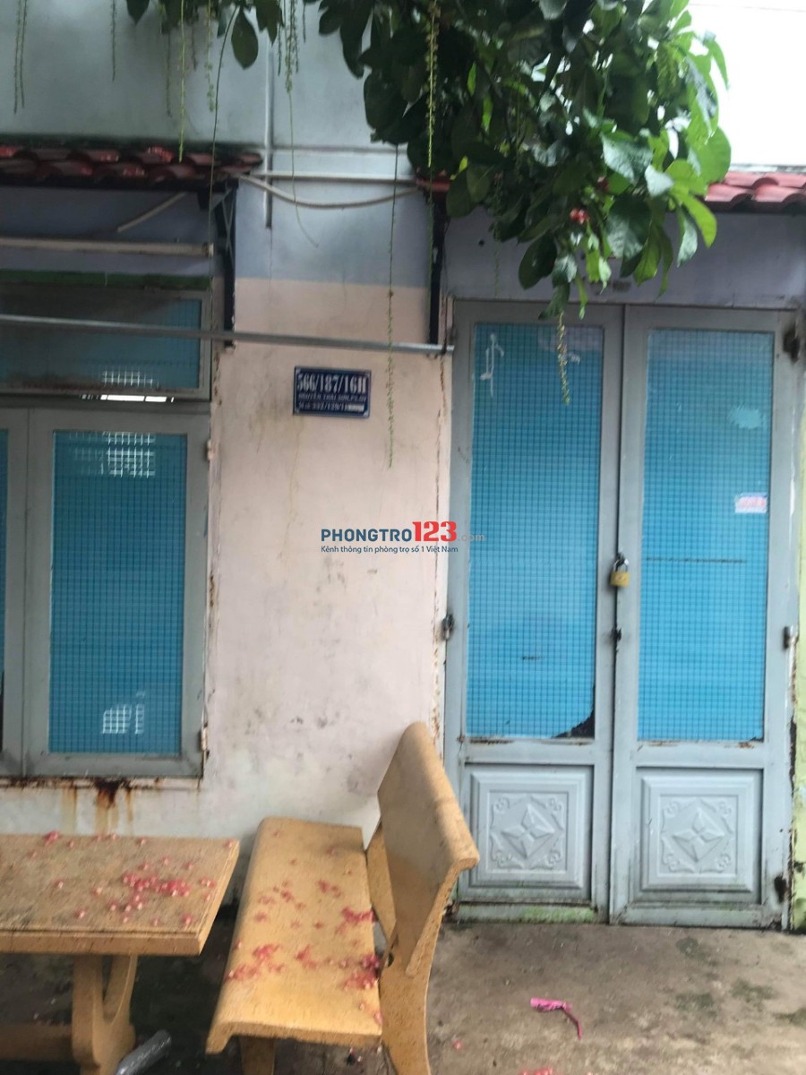 Nhà cho thuê nguyên căn 55m2, Nguyễn Thái Sơn, P.5, Gò Vấp