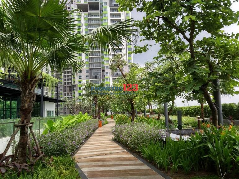 Tìm bạn nữ ở ghép căn hộ chung cư cao cấp Singapore: xanh - sạch - đẹp - đầy đủ tiện ích 5 sao