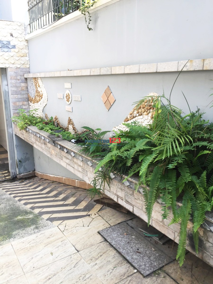 Ký túc xá giá rẻ 550k trung tâm Q8