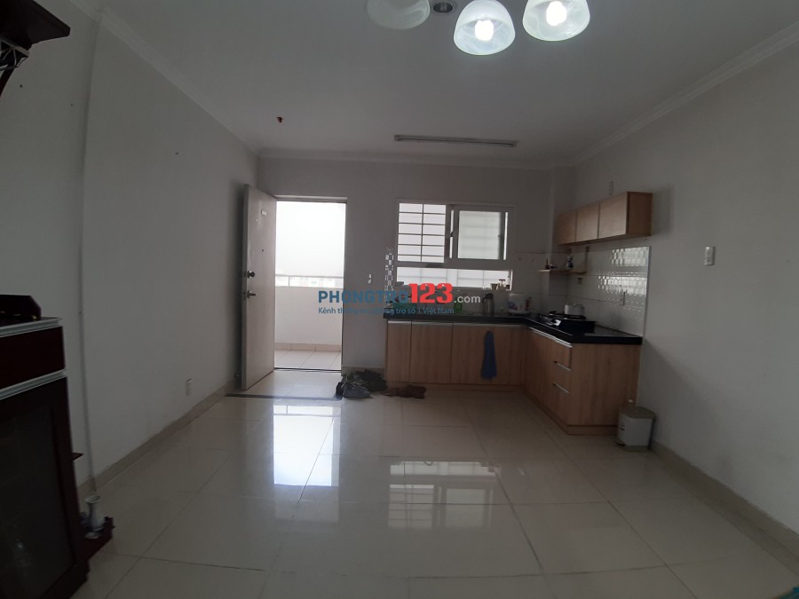 Cho thuê căn hộ 50m2 chung cư Green hills, Bình Hưng Hòa B, Bình Tân
