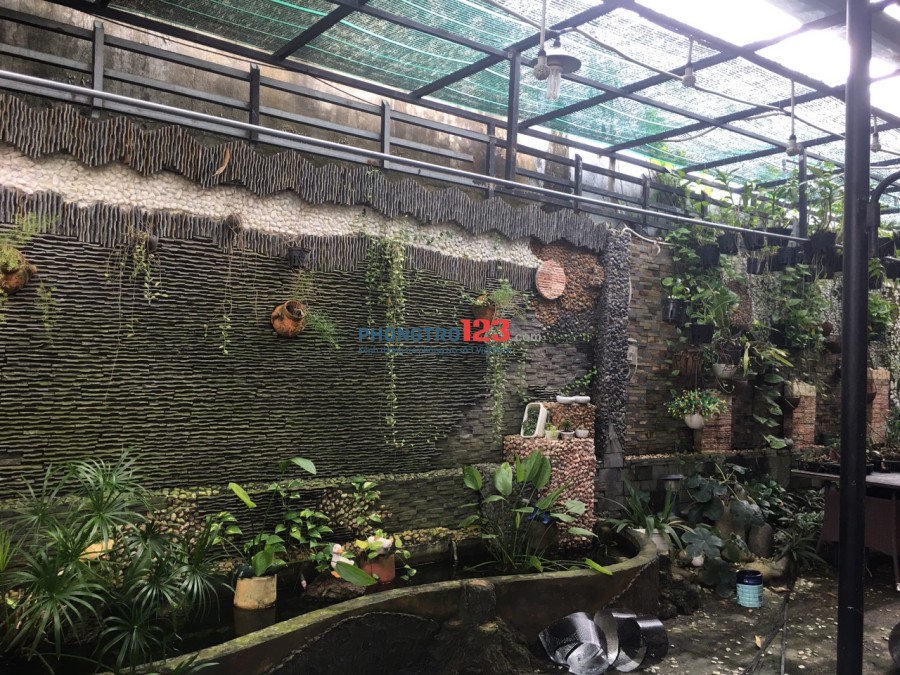 Cho thuê nhà nguyên căn có quán cafe sân vườn Tại KDC Hồng Long Hiệp, Bình Phước, Thủ Đức