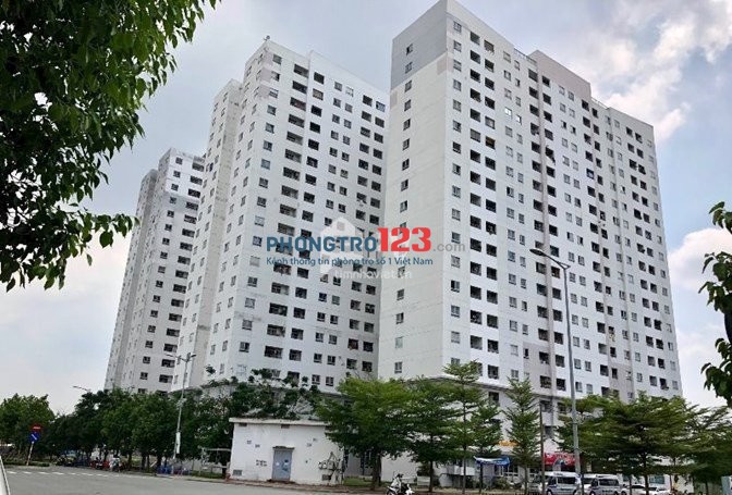 Cho thuê căn hộ chung cư 1050 Chu Văn An, quận Bình Thạnh