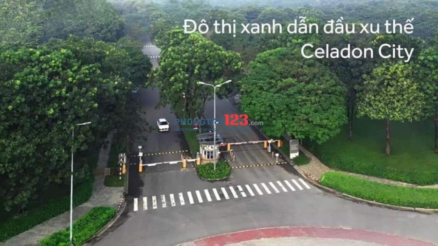 Căn hộ 55m2 2PN -1wc chung cư Celadon City Tân Phú, cần tìm nữ ở ghép