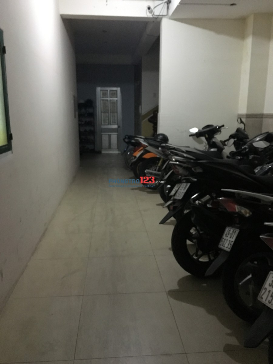 Tìm nữ văn phòng ở phòng trong nhà nguyên căn