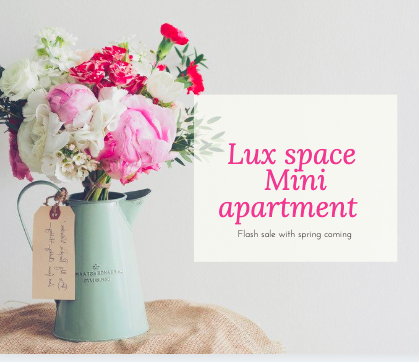 Lux & Mod room (căn hộ mini giá rẻ)