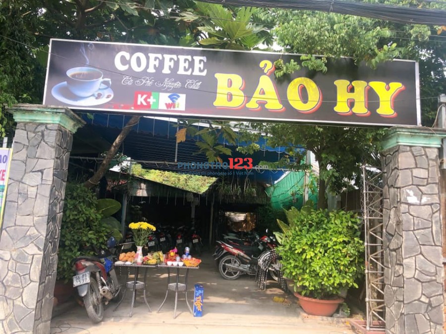 Chính chủ sang gấp quán cafe sân vườn đẹp lung linh tại Nguyễn Thị Thử, Hóc Môn