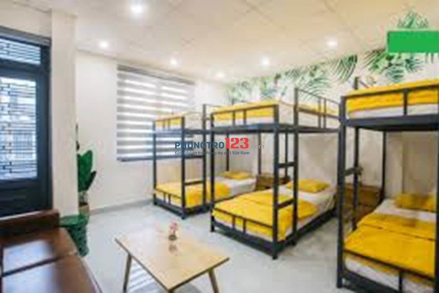 Phòng trọ Dorm giường đôi cho nữ nhân viên gần khu khu chế xuất Tân Thuận, Quận 7