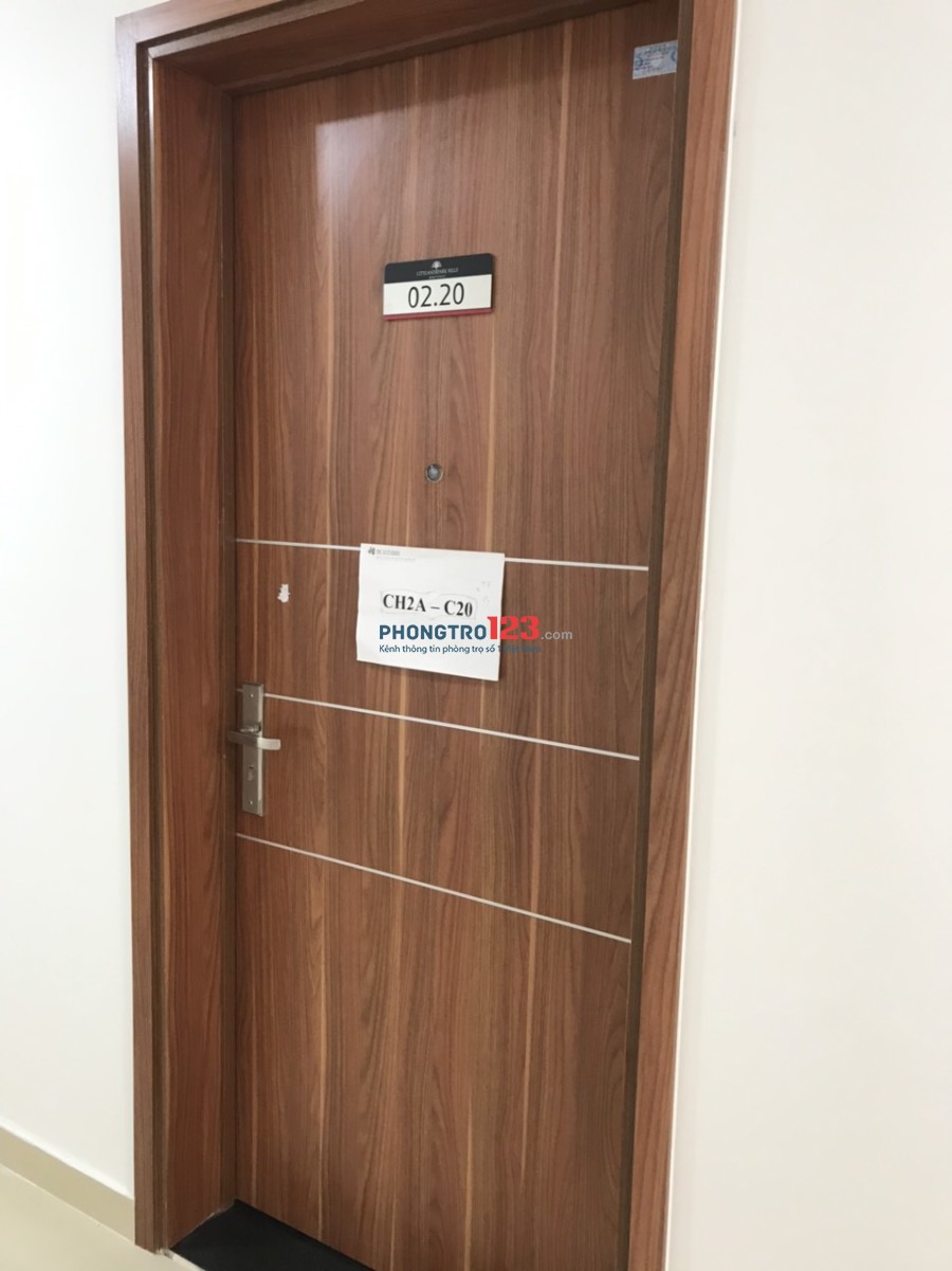 Cho thuê căn hộ mới bàn giao Cityland Park Hills 66m2 2pn 2wc tại 18 Phan Văn Trị, P.10, Gò Vấp