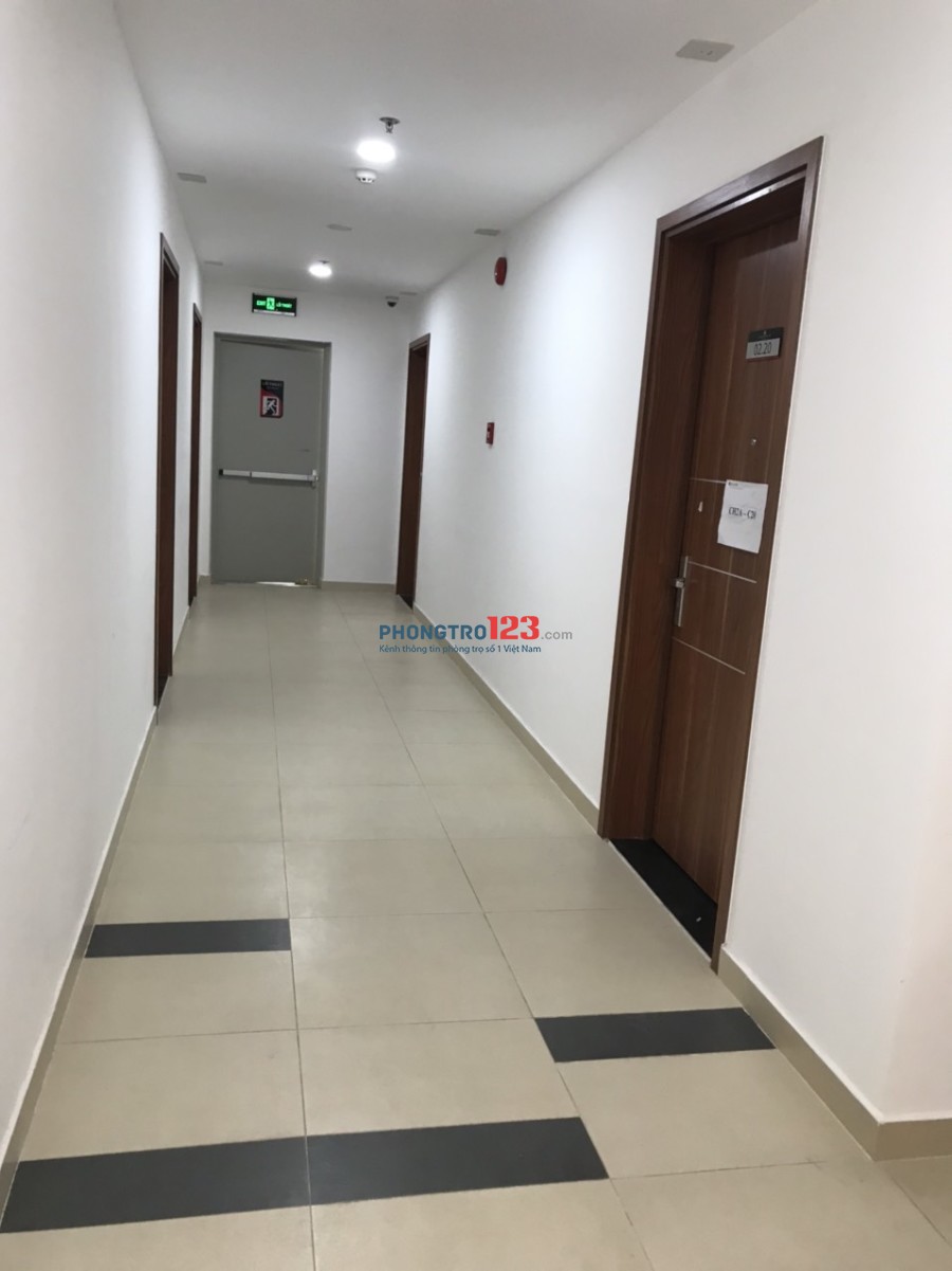 Cho thuê căn hộ mới bàn giao Cityland Park Hills 66m2 2pn 2wc tại 18 Phan Văn Trị, P.10, Gò Vấp
