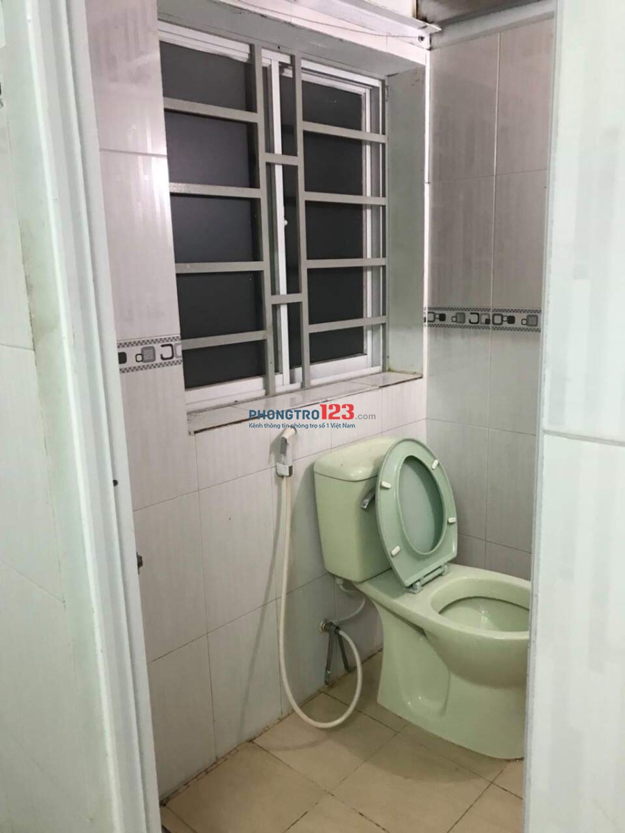 Tìm bạn nữ ở ghép (Ưu tiên người Quảng Ngãi - miền Trung)