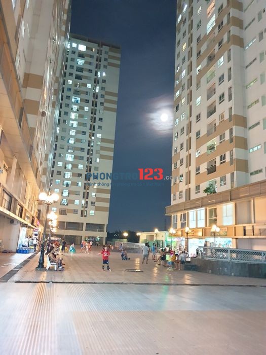 Cho thuê căn hộ Hưng Ngân quận 12, DT: 68m2, 2 PN, 2WC,lầu cao, có ban công